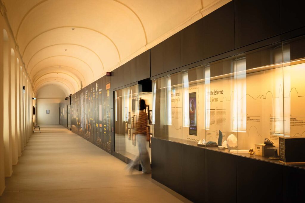 Ad Alba riapre il Mudet: il museo che racconta il mondo del tartufo